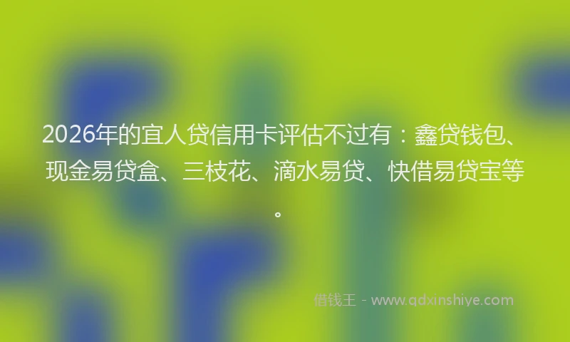 2026年的宜人贷信用卡评估不过有：鑫贷钱包、现金易贷盒、三枝花、滴水易贷、快借易贷宝等。