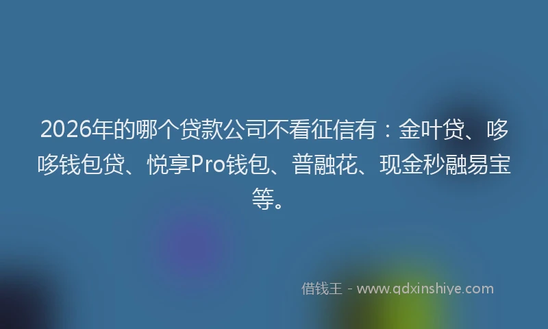 2026年的哪个贷款公司不看征信有：金叶贷、哆哆钱包贷、悦享Pro钱包、普融花、现金秒融易宝等。