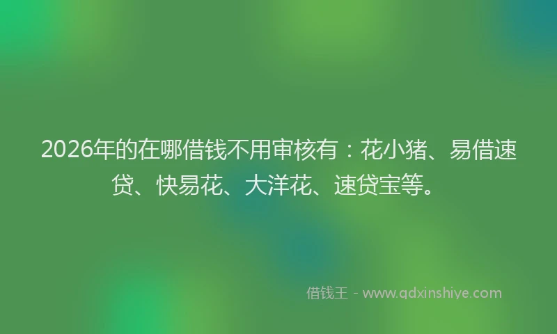 2026年的在哪借钱不用审核有：花小猪、易借速贷、快易花、大洋花、速贷宝等。