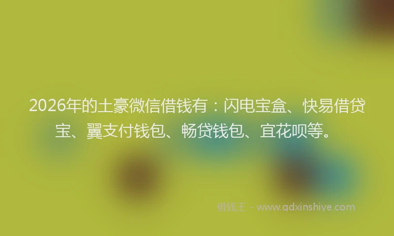 2026年的土豪微信借钱有：闪电宝盒、快易借贷宝、翼支付钱包、畅贷钱包、宜花呗等。