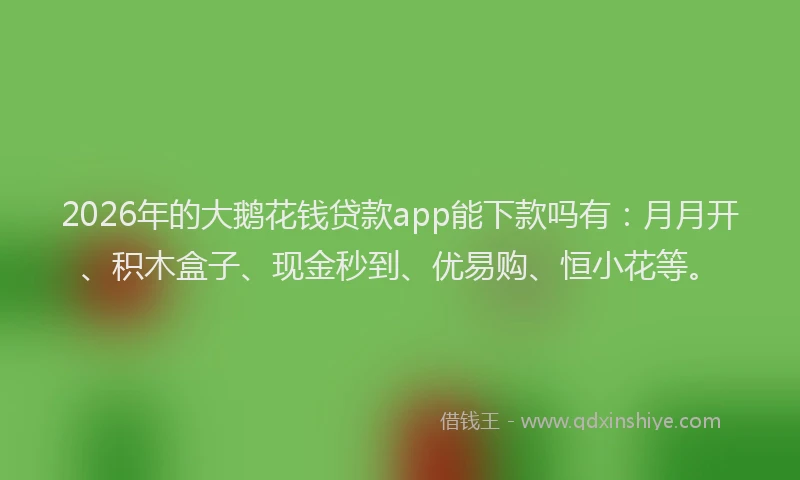 2026年的大鹅花钱贷款app能下款吗有：月月开、积木盒子、现金秒到、优易购、恒小花等。
