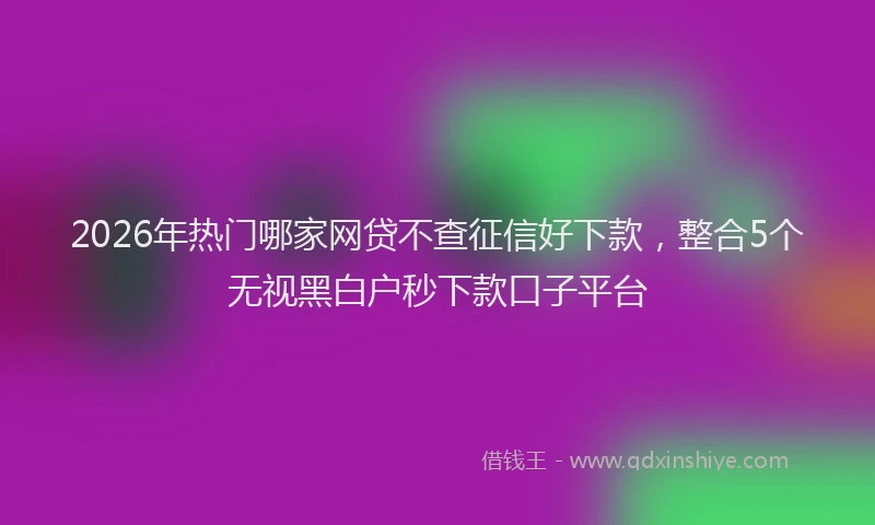 2026年热门哪家网贷不查征信好下款，整合5个无视黑白户秒下款口子平台