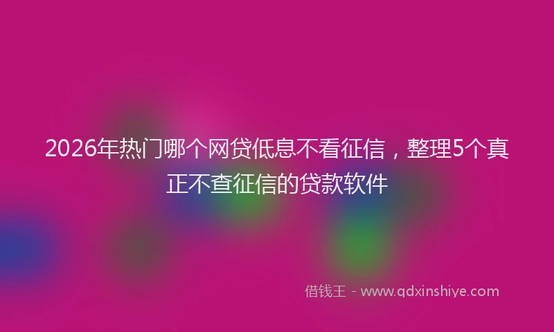 2026年热门哪个网贷低息不看征信，整理5个真正不查征信的贷款软件