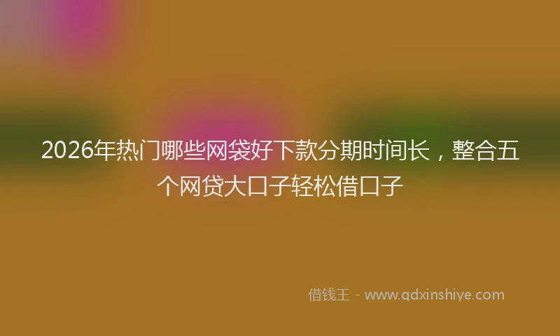 2026年热门哪些网袋好下款分期时间长，整合五个网贷大口子轻松借口子