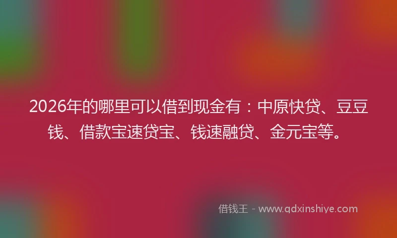2026年的哪里可以借到现金有：中原快贷、豆豆钱、借款宝速贷宝、钱速融贷、金元宝等。