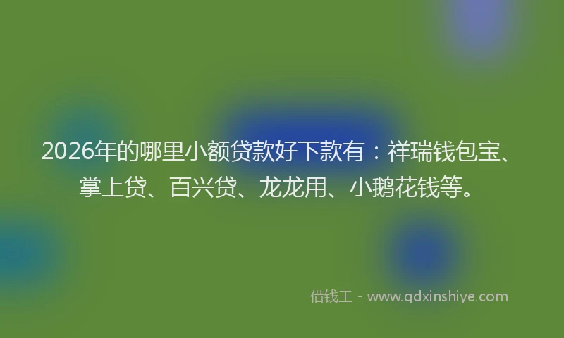 2026年的哪里小额贷款好下款有：祥瑞钱包宝、掌上贷、百兴贷、龙龙用、小鹅花钱等。