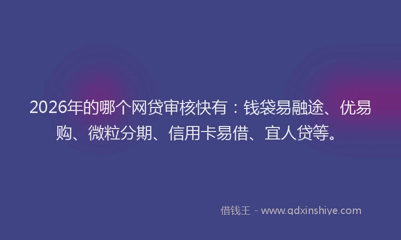 2026年的哪个网贷审核快有：钱袋易融途、优易购、微粒分期、信用卡易借、宜人贷等。