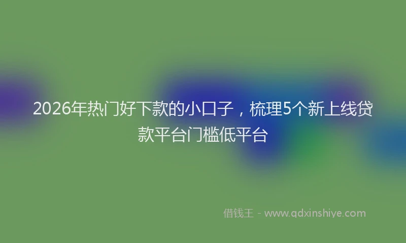 2026年热门好下款的小口子，梳理5个新上线贷款平台门槛低平台