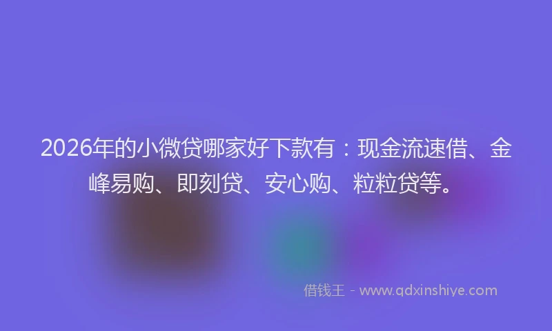 2026年的小微贷哪家好下款有：现金流速借、金峰易购、即刻贷、安心购、粒粒贷等。