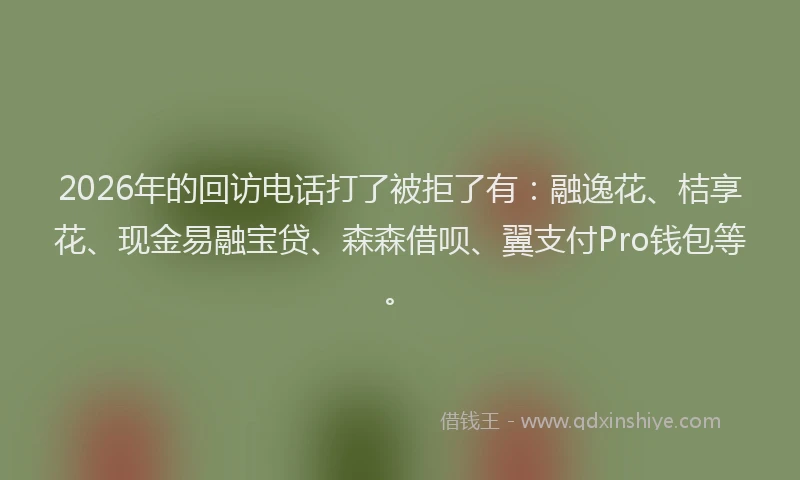 2026年的回访电话打了被拒了有：融逸花、桔享花、现金易融宝贷、森森借呗、翼支付Pro钱包等。