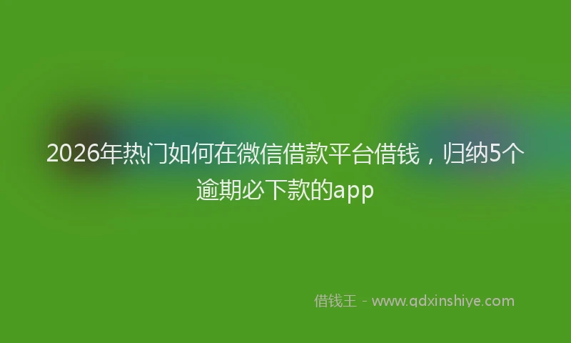 2026年热门如何在微信借款平台借钱，归纳5个逾期必下款的app