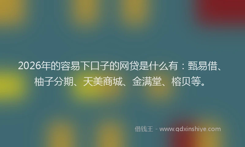 2026年的容易下口子的网贷是什么有：甄易借、柚子分期、天美商城、金满堂、榕贝等。
