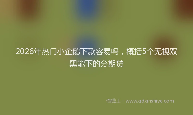 2026年热门小企鹅下款容易吗,概括5个无视双黑能下的分期贷