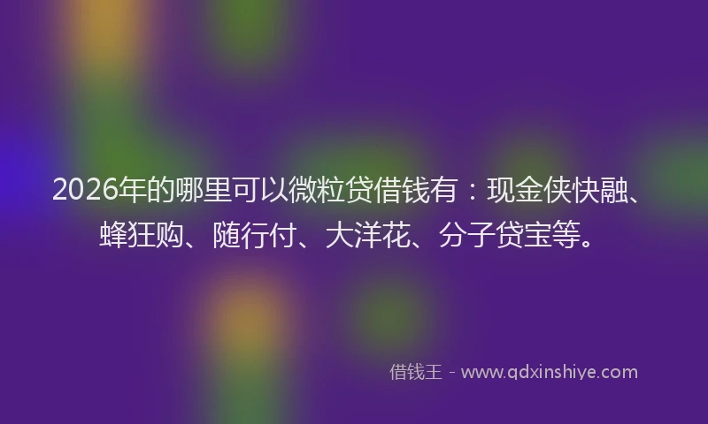 2026年的哪里可以微粒贷借钱有：现金侠快融、蜂狂购、随行付、大洋花、分子贷宝等。