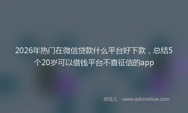 2026年热门在微信贷款什么平台好下款，总结5个20岁可以借钱平台不查征信的app