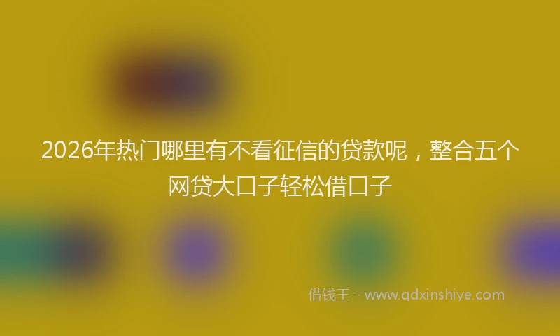 2026年热门哪里有不看征信的贷款呢，整合五个网贷大口子轻松借口子