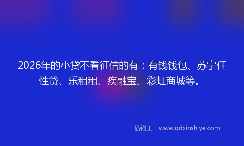 2026年的小贷不看征信的有：有钱钱包、苏宁任性贷、乐租租、疾融宝、彩虹商城等。