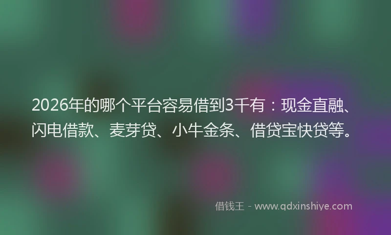 2026年的哪个平台容易借到3千有：现金直融、闪电借款、麦芽贷、小牛金条、借贷宝快贷等。