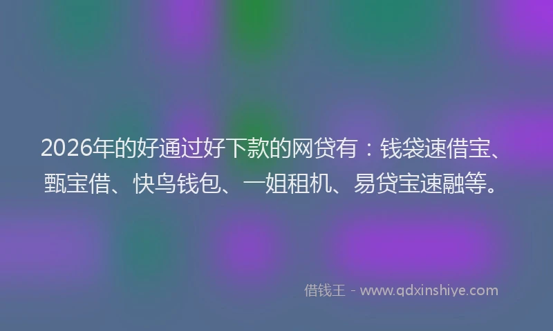 2026年的好通过好下款的网贷有：钱袋速借宝、甄宝借、快鸟钱包、一姐租机、易贷宝速融等。