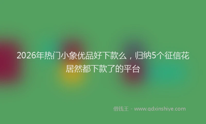 2026年热门小象优品好下款么,归纳5个征信花居然都下款了的平台