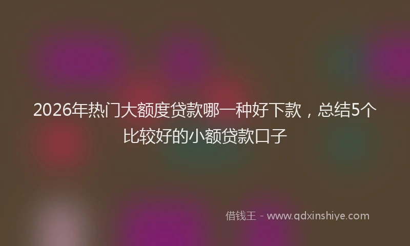 2026年热门大额度贷款哪一种好下款，总结5个比较好的小额贷款口子