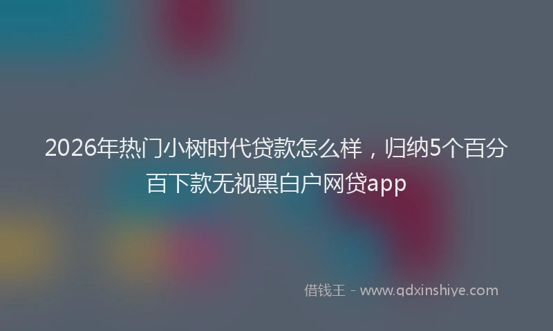 2026年热门小树时代贷款怎么样，归纳5个百分百下款无视黑白户网贷app