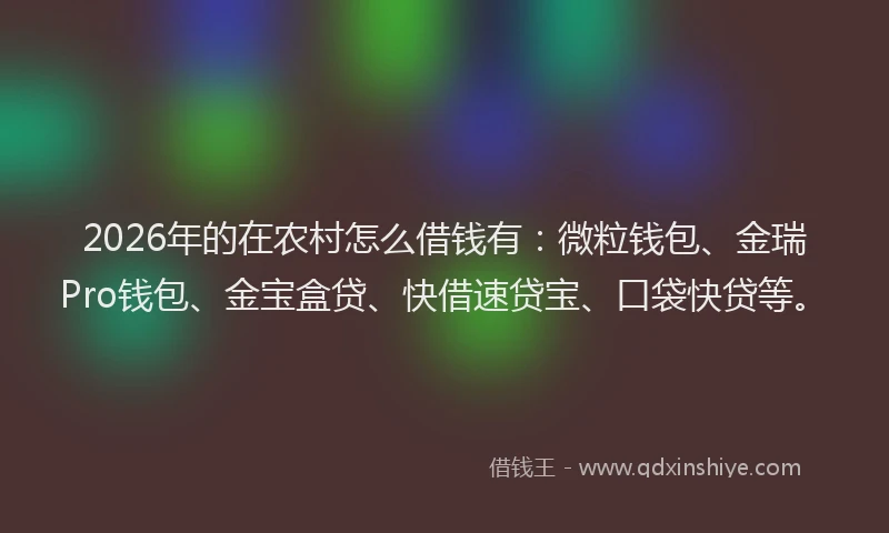 2026年的在农村怎么借钱有：微粒钱包、金瑞Pro钱包、金宝盒贷、快借速贷宝、口袋快贷等。