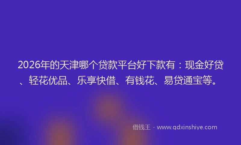 2026年的天津哪个贷款平台好下款有：现金好贷、轻花优品、乐享快借、有钱花、易贷通宝等。