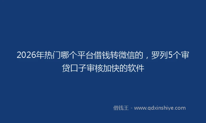 2026年热门哪个平台借钱转微信的，罗列5个审贷口子审核加快的软件