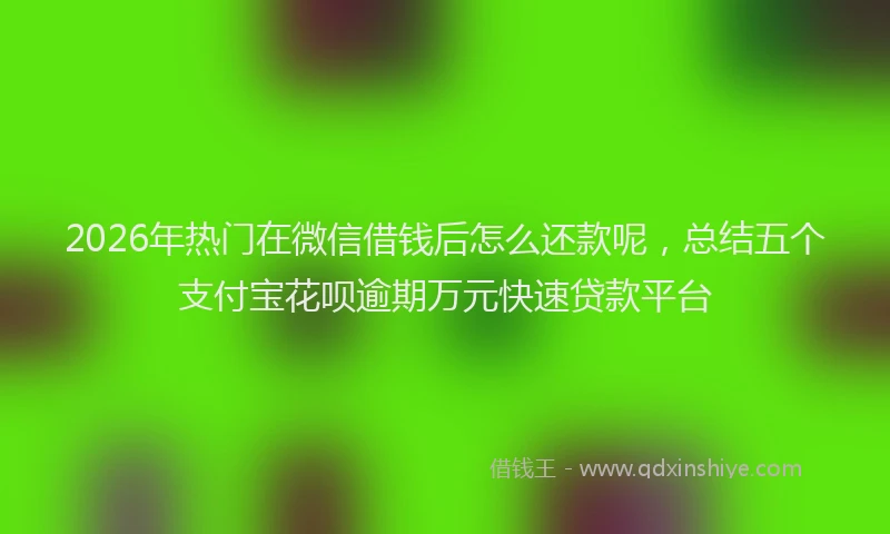2026年热门在微信借钱后怎么还款呢，总结五个支付宝花呗逾期万元快速贷款平台