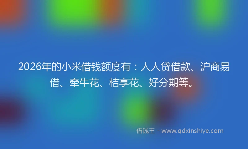 2026年的小米借钱额度有：人人贷借款、沪商易借、牵牛花、桔享花、好分期等。