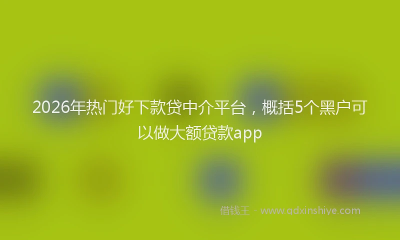 2026年热门好下款贷中介平台，概括5个黑户可以做大额贷款app