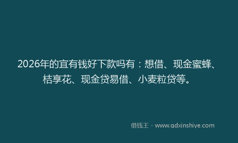2026年的宜有钱好下款吗有：想借、现金蜜蜂、桔享花、现金贷易借、小麦粒贷等。