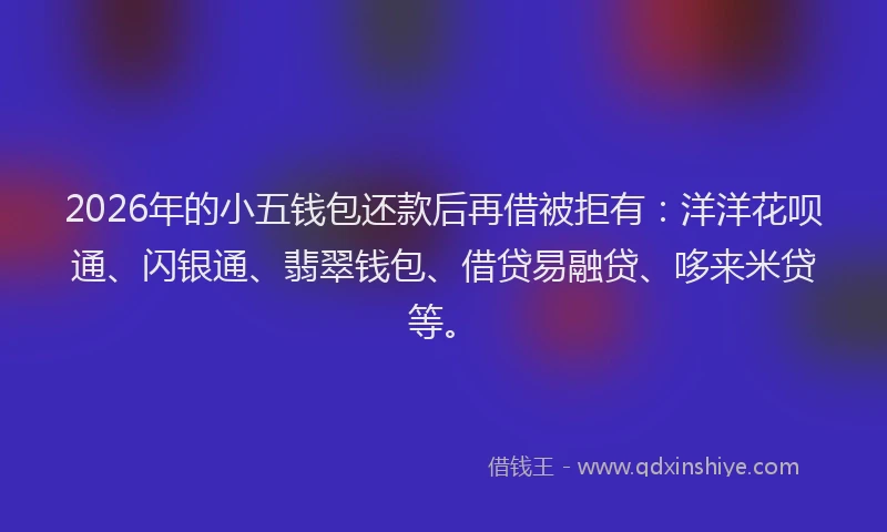 2026年的小五钱包还款后再借被拒有：洋洋花呗通、闪银通、翡翠钱包、借贷易融贷、哆来米贷等。