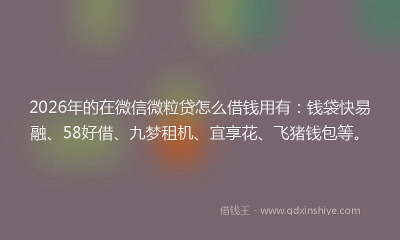 2026年的在微信微粒贷怎么借钱用有：钱袋快易融、58好借、九梦租机、宜享花、飞猪钱包等。