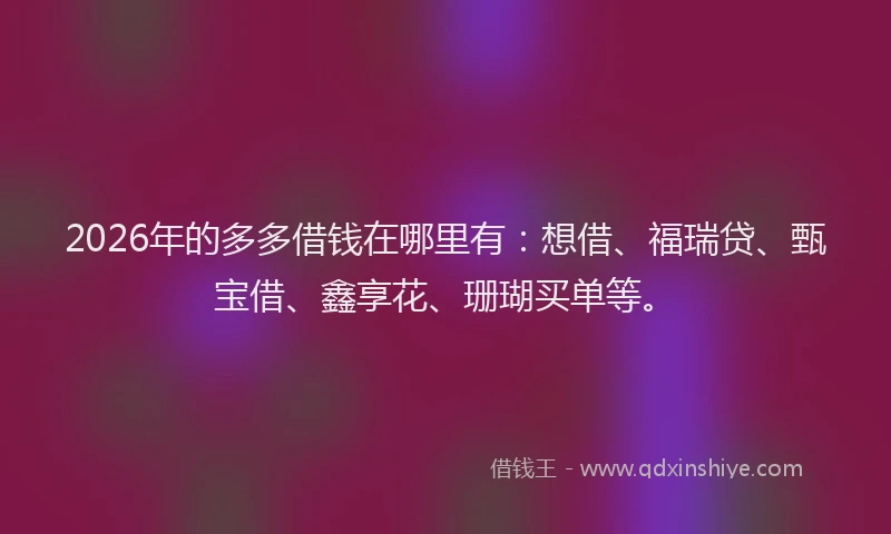 2026年的多多借钱在哪里有：想借、福瑞贷、甄宝借、鑫享花、珊瑚买单等。