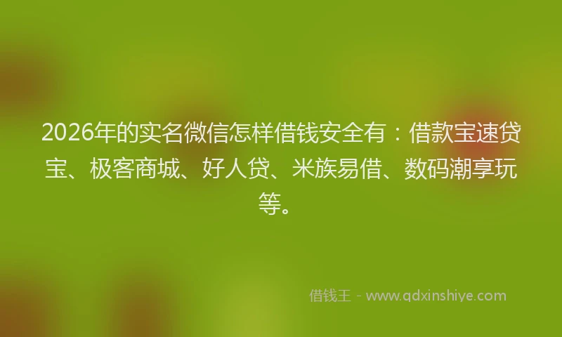 2026年的实名微信怎样借钱安全有：借款宝速贷宝、极客商城、好人贷、米族易借、数码潮享玩等。