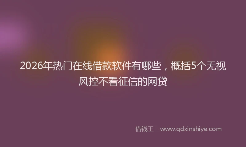 2026年热门在线借款软件有哪些，概括5个无视风控不看征信的网贷