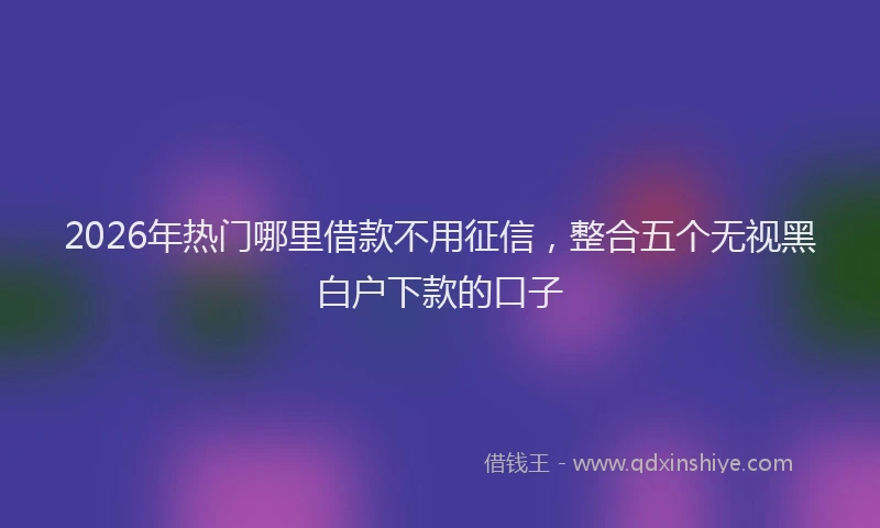2026年热门哪里借款不用征信，整合五个无视黑白户下款的口子