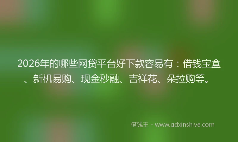 2026年的哪些网贷平台好下款容易有：借钱宝盒、新机易购、现金秒融、吉祥花、朵拉购等。