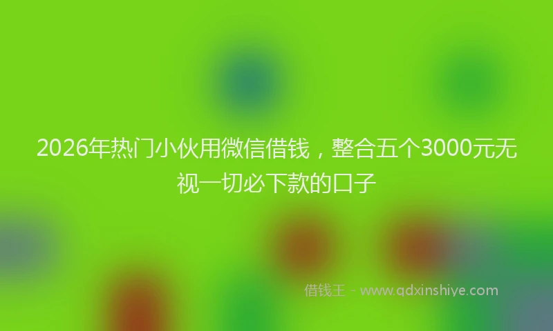 2026年热门小伙用微信借钱，整合五个3000元无视一切必下款的口子
