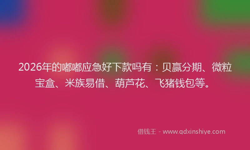 2026年的嘟嘟应急好下款吗有：贝赢分期、微粒宝盒、米族易借、葫芦花、飞猪钱包等。