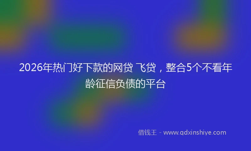 2026年热门好下款的网贷 飞贷，整合5个不看年龄征信负债的平台