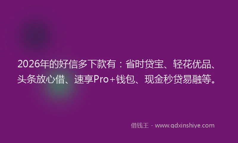 2026年的好信多下款有：省时贷宝、轻花优品、头条放心借、速享Pro+钱包、现金秒贷易融等。