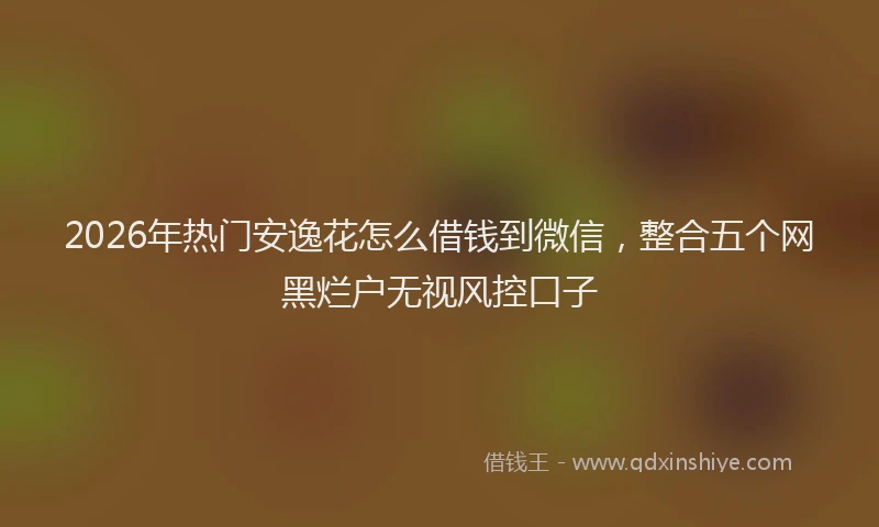 2026年热门安逸花怎么借钱到微信，整合五个网黑烂户无视风控口子