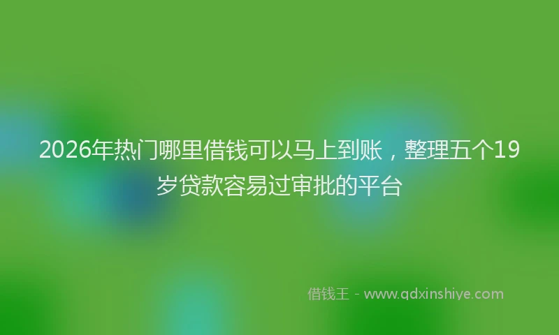 2026年热门哪里借钱可以马上到账，整理五个19岁贷款容易过审批的平台