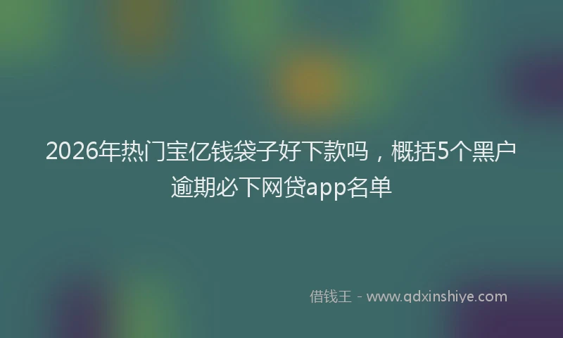 2026年热门宝亿钱袋子好下款吗，概括5个黑户逾期必下网贷app名单