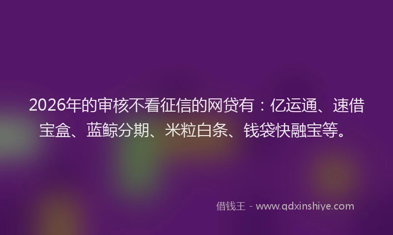 2026年的审核不看征信的网贷有：亿运通、速借宝盒、蓝鲸分期、米粒白条、钱袋快融宝等。