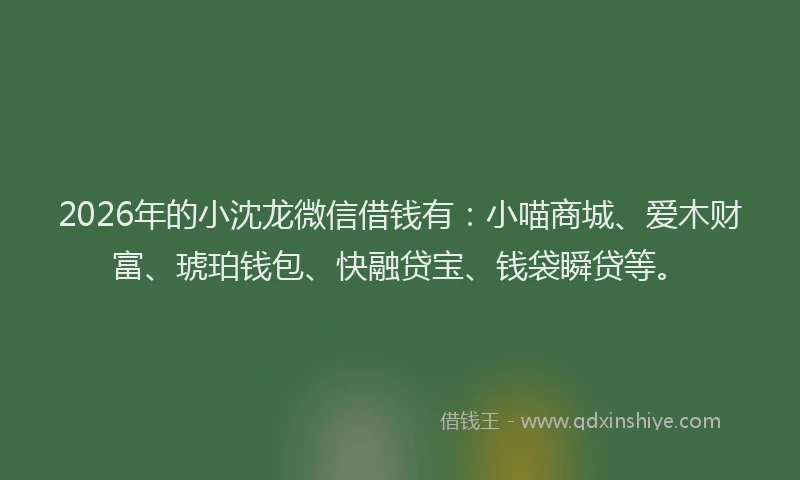 2026年的小沈龙微信借钱有：小喵商城、爱木财富、琥珀钱包、快融贷宝、钱袋瞬贷等。