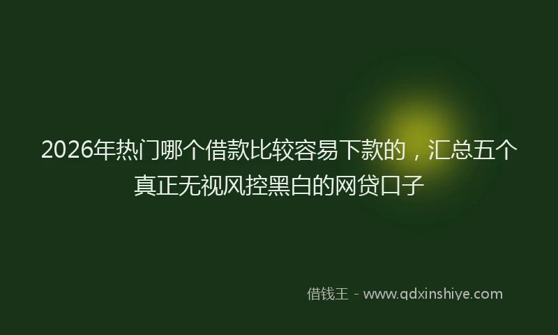 2026年热门哪个借款比较容易下款的，汇总五个真正无视风控黑白的网贷口子
